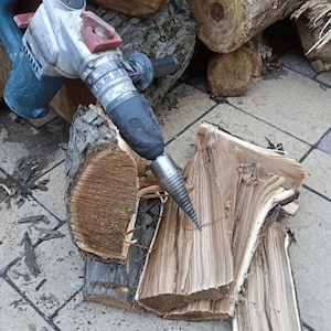 Op de afbeelding: Een blauw-zilveren elektrische houtklover met een rode handgreep splitst een stuk hout. Het hout is bruin en in verschillende stukken gesplitst. Andere stammen zijn op de achtergrond.