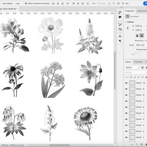 Pode incluir: Nove ilustra&ccedil;&otilde;es em preto e branco de diferentes tipos de flores. As flores est&atilde;o dispostas em uma grade sobre um fundo branco.
