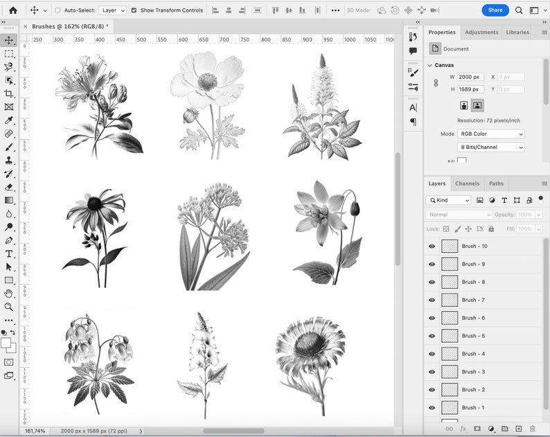 Pode incluir: Nove ilustra&ccedil;&otilde;es em preto e branco de diferentes tipos de flores. As flores est&atilde;o dispostas em uma grade sobre um fundo branco.