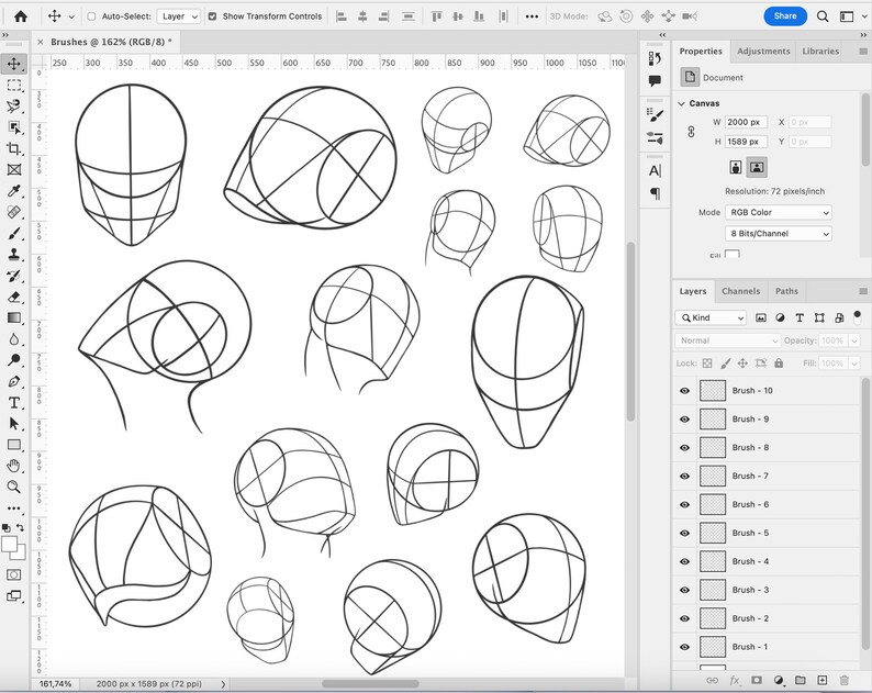 20 Portrait Brushes, Adobe Fresco Heads Brushes, Portrait