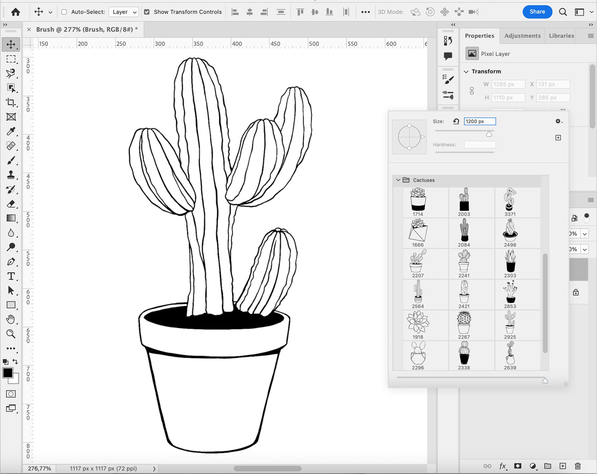 20 Cactus Brushes, Adobe Fresco Succulent Brushes, Cactuses