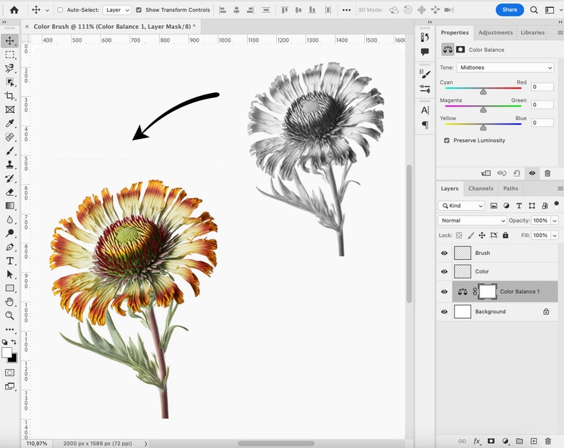 Pode incluir: Um close-up de uma flor com p&eacute;talas laranja, amarelo e vermelho. A flor est&aacute; em foco, enquanto o fundo est&aacute; desfocado. A flor &eacute; um tipo de margarida.
