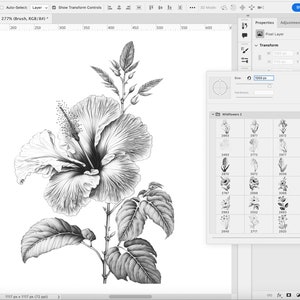 Pode incluir: Uma ilustra&ccedil;&atilde;o em preto e branco de uma flor de hibisco com folhas. A imagem est&aacute; em um estilo de arte digital e &eacute; perfeita para usar em uma variedade de projetos criativos.