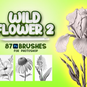 87 Photoshop Wildflowers Część 2, Adobe Fresco Wildflowers, Wildflowers Stamp, Adobe Photoshop Flowers Brush, Fresco Flowers Brushes