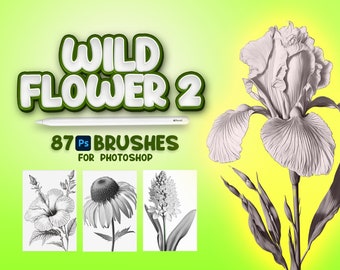 87 Photoshop Wildflowers Part 2, Adobe Fresco Wildflowers, Wildflowers Stamp, Adobe Photoshop Flowers Brush, Fresco Flowers Brushes