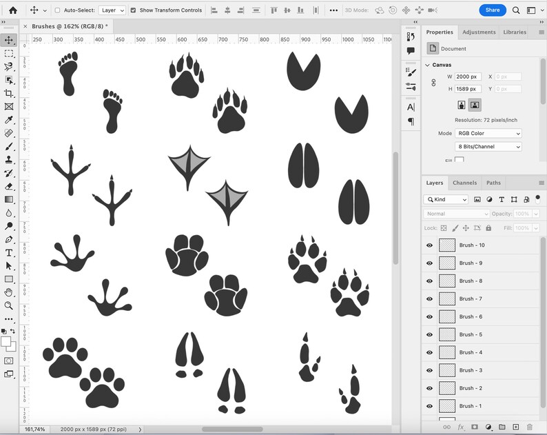 30 Footprint Brushes, Adobe Fresco Footmark Brush, Footprints