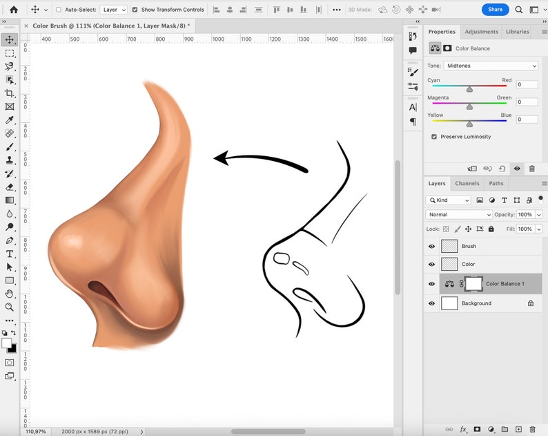 20 Noses Brushes, Adobe Fresco Nozzles Brush, Nose Stamp