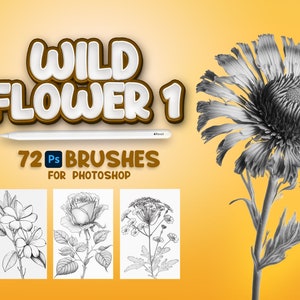 72 Photoshop Wildflowers Część 1, Adobe Fresco Wildflowers, Wildflowers Stamp, Adobe Photoshop Flowers Brush, Fresco Flowers Brushes