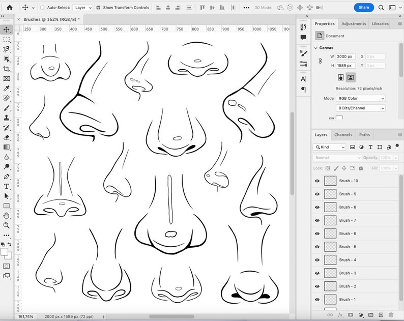 20 Noses Brushes, Adobe Fresco Nozzles Brush, Nose Stamp