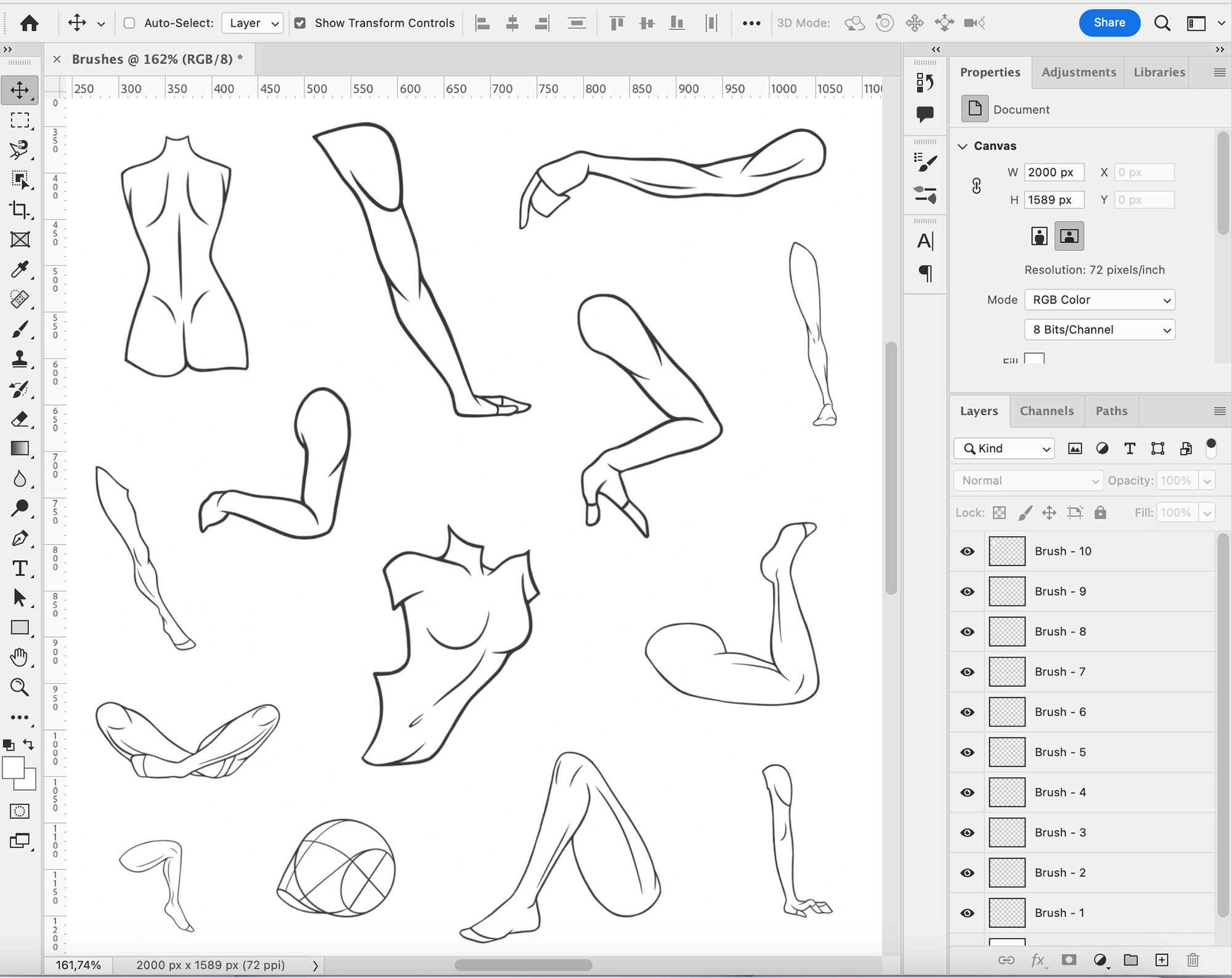 30 Body Parts Brushes Adobe Fresco Hand Brushes Etsy