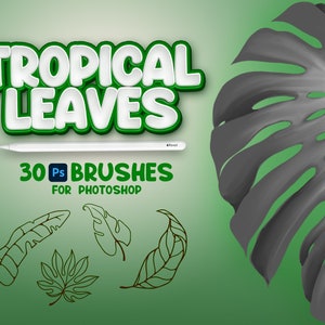 30 Photoshop Tropical Leaves Brushes, Adobe Fresco Palm Leaf Brush, Plant Leaves Stamp, Adobe Photoshop Palm Frond Brushes, Leaves Templates