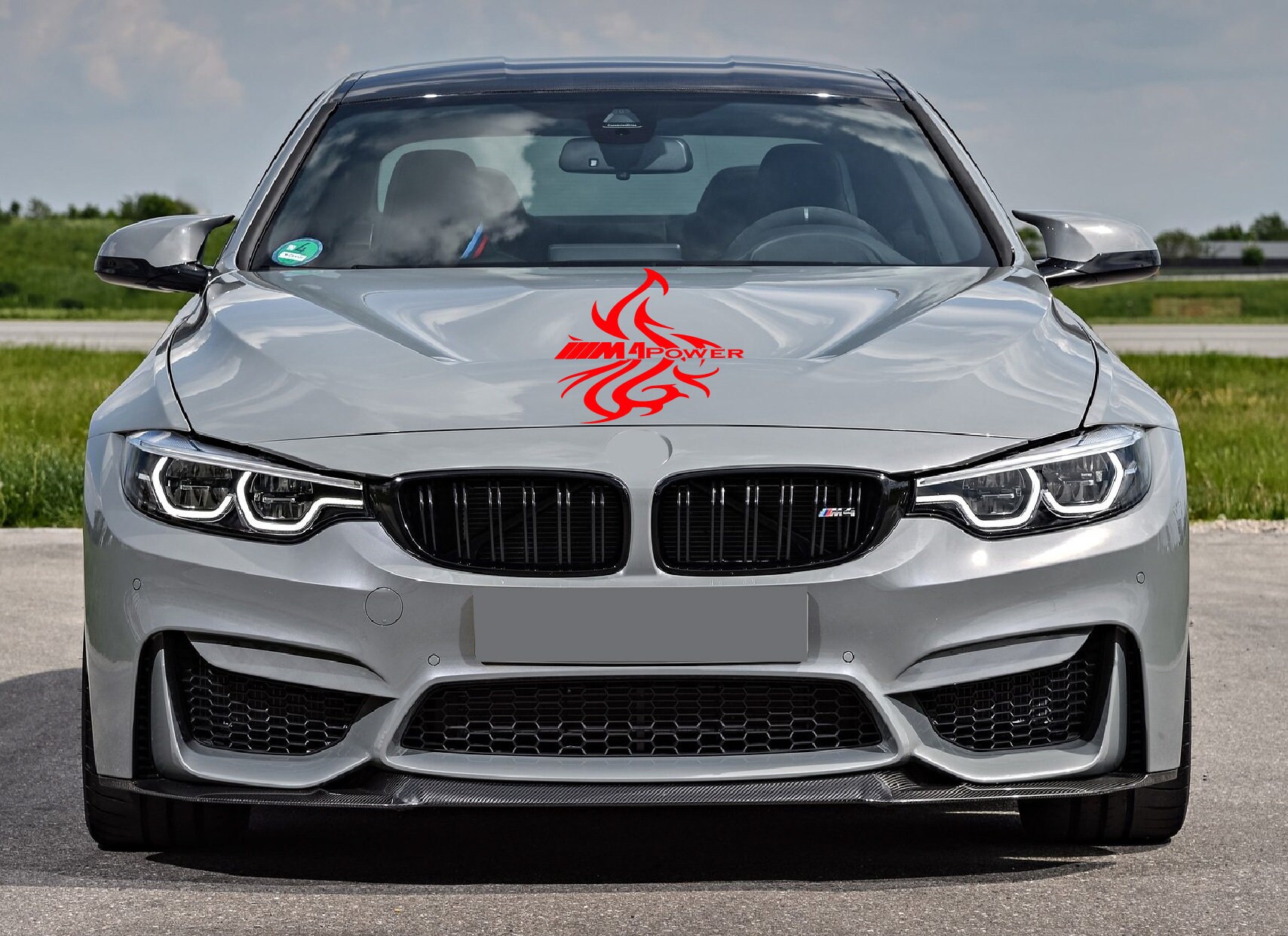 Bmw m4 vinyl