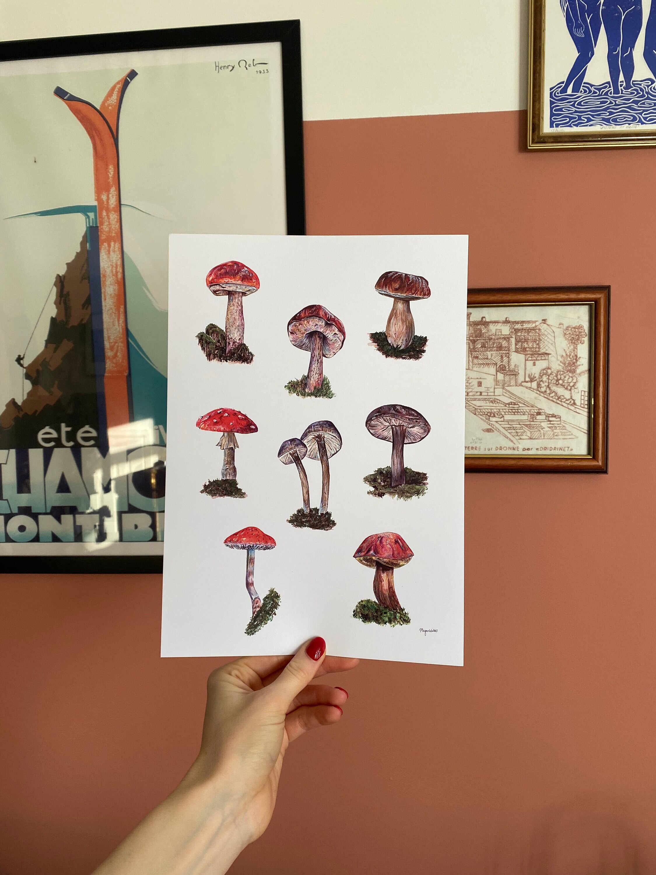Mushroom Collation Print A4 - Etsy UK