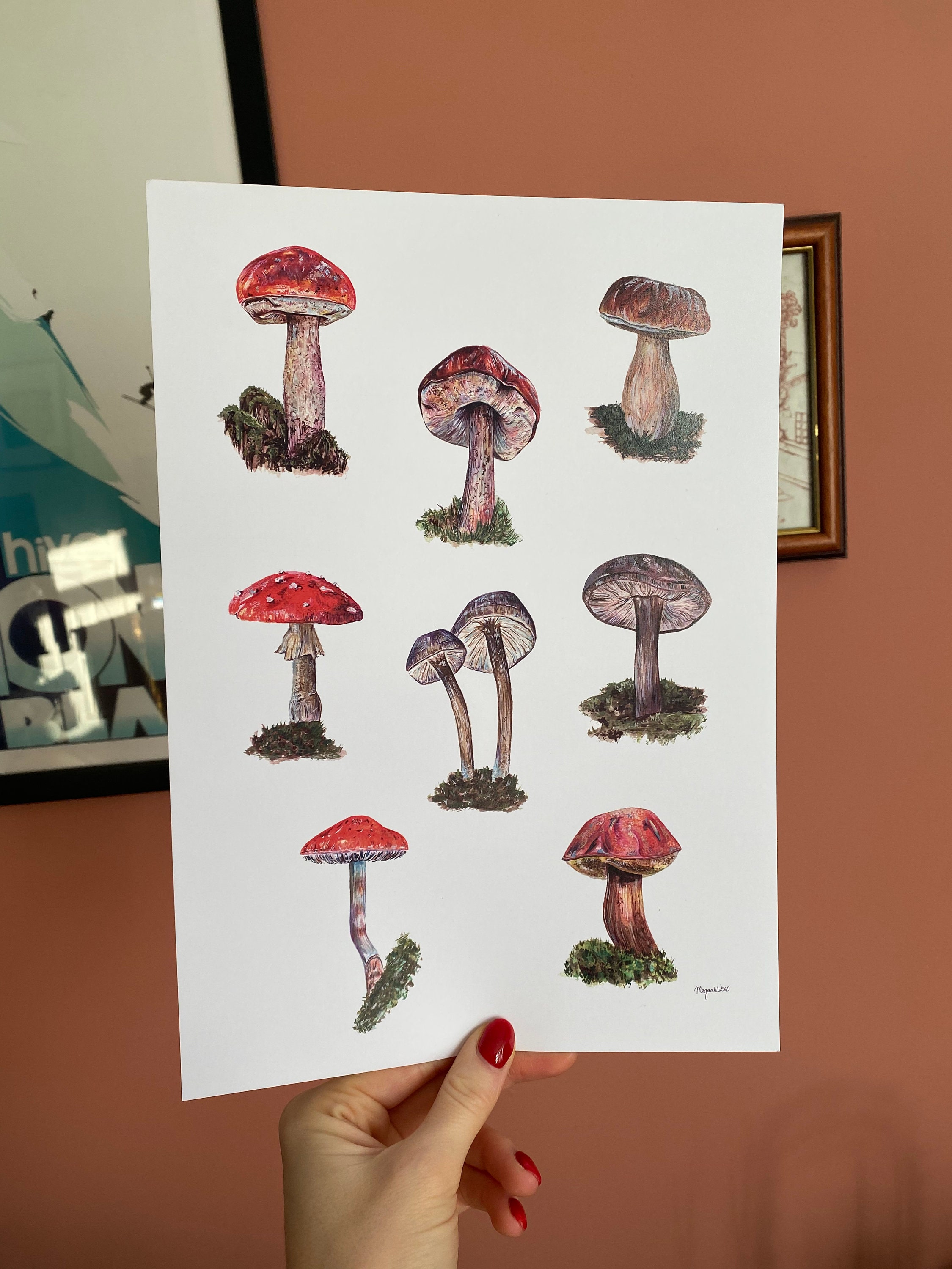 Mushroom Collation Print A4 - Etsy UK