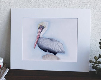 Pelican Bird - 8" x 10" Watercolor Print