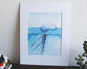 Carabela portuguesa - Impresión en acuarela de 20 x 25 cm
