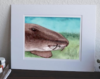 Tiburón nodriza - Impresión en acuarela de 20 x 25 cm