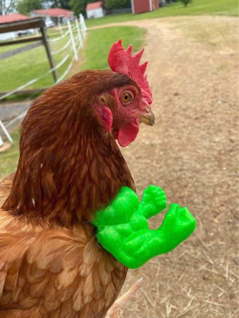 Hulk Arms For Chicken 3D Printed have taken the internet  image 0