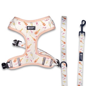 Rosé All Day Dog Walk Set, Dog Chest Harness, Dog Vest Harness, Cute Dog Harness, Girl Dog Harness, Adjustable Dog Harness, Designer Harness