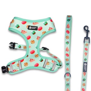Sweet Treats Dog Harness and Leash Set: Adjustable, Reflective