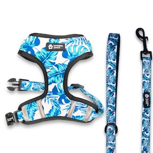 Beach Vibes Walk Set, Dog Chest Harness, Vest Harness, Cute Dog Harness, Tropical Dog Harness, Adjustable Dog Harness, Dog Harness and Leash