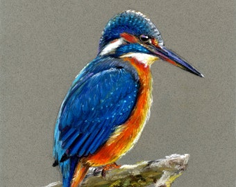 Kingfisher, Original Giclée Print