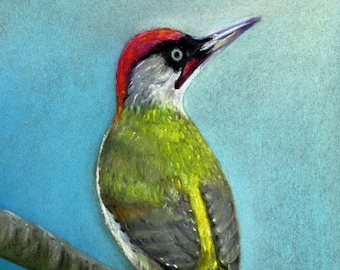 Green Woodpecker, Original Giclée Print