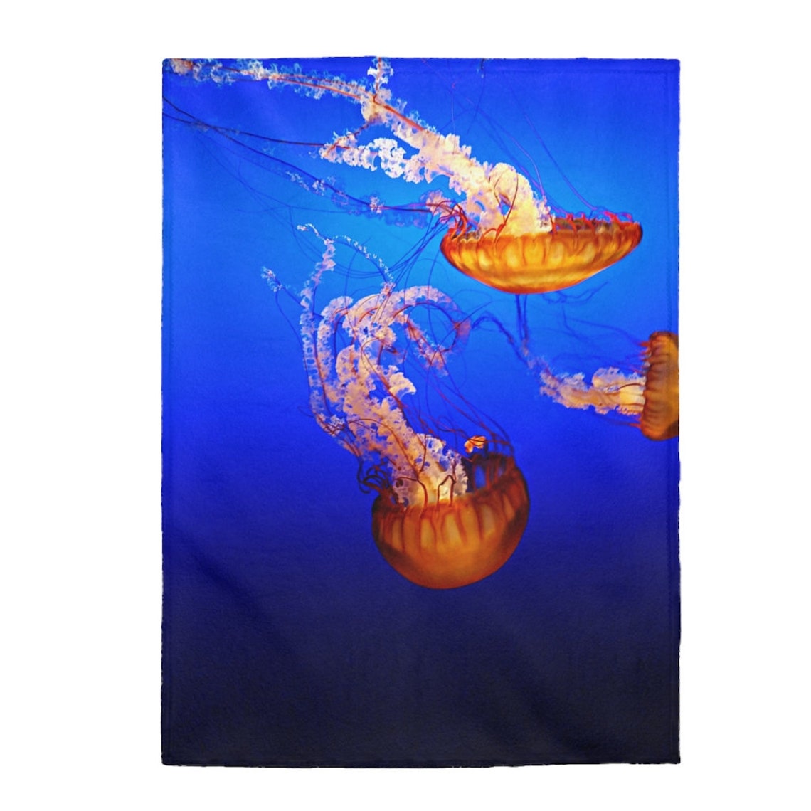 Orange Jellyfish Velveteen Plush Blanket Etsy