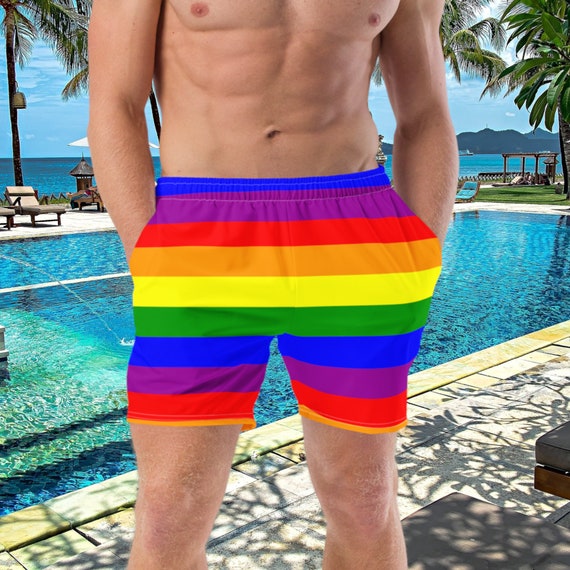 Rainbow Adult Swim Trunk Shorts