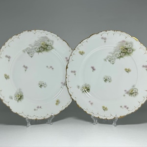 Lot de 2 assiettes plates antiques en porcelaine Ph. Rosenthal Monbijou, assiettes plates en porcelaine Rosenthal Monbijou, assiettes en porcelaine de Rosenthal RC