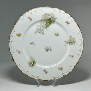 Ancienne assiette en porcelaine Ph. Rosenthal Monbijou, Assiette en porcelaine de Rosenthal Monbijou, Assiette en porcelaine de Rosenthal RC