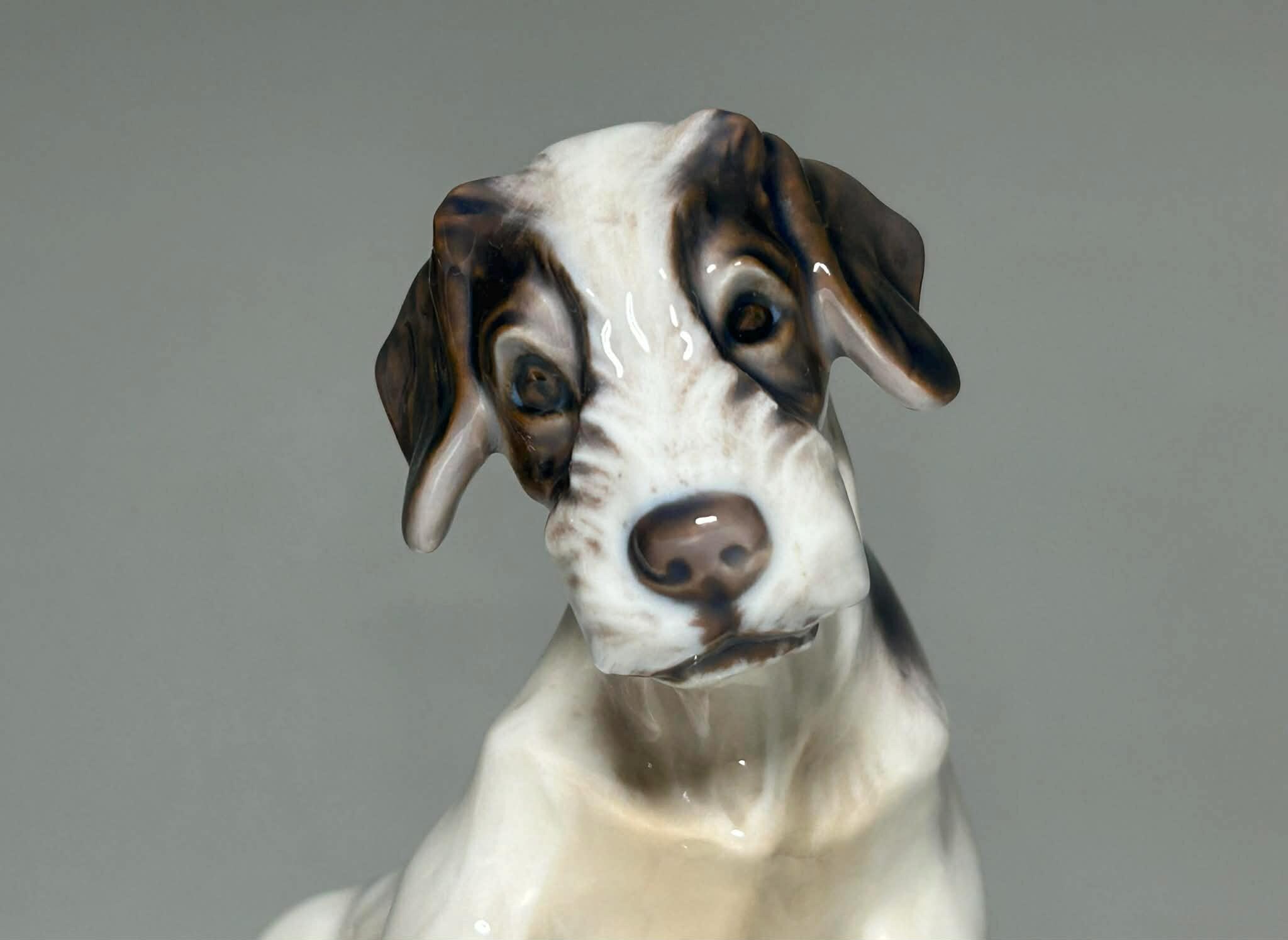 Dahl Jensen Copenhagen Figurine Wire Terrier Puppy #1008 - Etsy