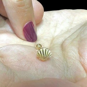 May include: A gold seashell body jewellery piercing. The seashell is detailed and has a textured surface.