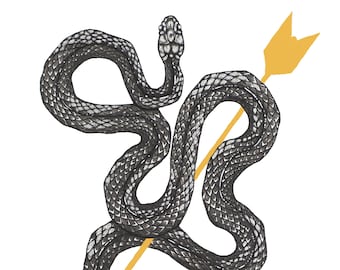 Arrow Serpent print, snake art, snake painting, serpent art, serpent, painting, gold arrow