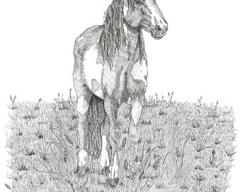 Illustration chevaline encadrée à la plume et à l'encre, art équin (16 x 20)