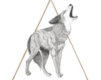 Illustration à la plume et à l'encre Coyote, triangle à la feuille d'or, oeuvre d'art encadrée