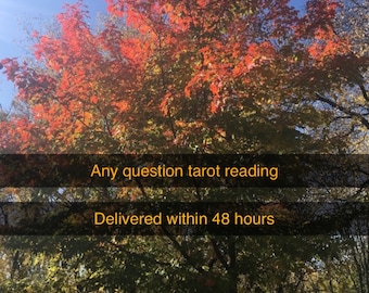 In depth Any question Tarot reading 24-48  hour delivery