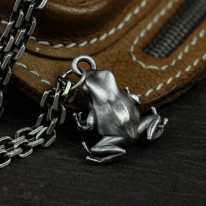 May include: A silver chain necklace with a detailed frog pendant. The frog is facing away from the camera and has a textured surface.