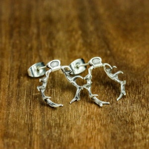 A pair of branch earrings, weird horn earrings handmade silver jewelry, animal horn totem earrings, thorn earrings, stag antler earrings