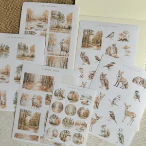 Könnte beinhalten: Sechs Blätter mit Aufklebern, die Illustrationen von Waldtieren, Bäumen und Landschaften zeigen. Die Aufkleber sind auf weißem Papier mit matter Oberfläche gedruckt. Die Aufkleber sind perfekt, um Ihrem Planer, Tagebuch oder Sammelalbum einen Hauch von Natur zu verleihen.