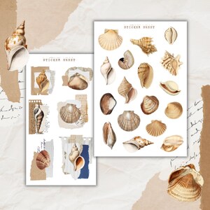 Könnte beinhalten: Zwei Aufkleberbögen mit verschiedenen Muschelillustrationen in Braun-, Beige- und Cremetönen. Ein Bogen enthält Collagen-Elemente aus zerrissenem Papier und den Text STICKER SHEET. Der andere Bogen zeigt eine Auswahl detaillierter Muscheln.