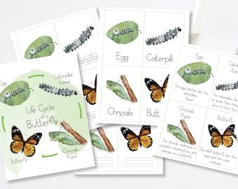 Butterfly Life Cycle Poster, Lifecycle Unit, Homeschool Activity, Butterfly Unit Bundle, Nature Study Homeschool, Preschool Busy Binder