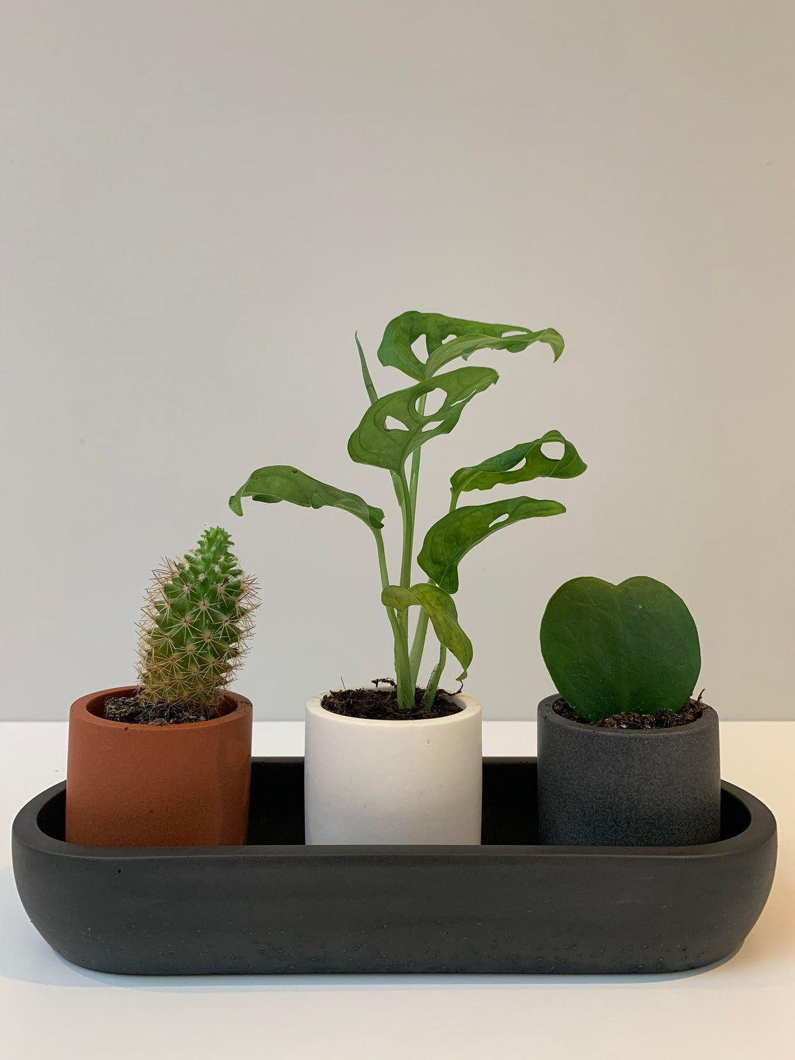 Set of 3 Mini Plant Pots with Oblong Tray Etsy
