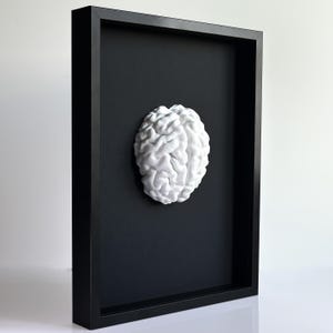 Könnte beinhalten: Ein weißes, dreidimensionales Gehirn ist auf einem schwarzen Hintergrund in einem schwarzen Schattenrahmen montiert. Das Gehirn ist detailliert, mit sichtbaren Windungen. Das Kunstwerk ist eine moderne, minimalistische Darstellung des menschlichen Gehirns.