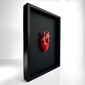 May include: A framed artwork featuring a detailed, red anatomical heart sculpture against a black background. The heart is three-dimensional and realistically rendered. The frame is a simple, black, rectangular box, creating a striking contrast.