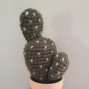 Crochet Cactus Plant Pattern, faux crochet plants, succulent crochet patterns
