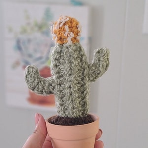 Può includere: Un piccolo cactus all'uncinetto in un vaso di terracotta. Il cactus è verde con un fiore giallo e bianco in cima.