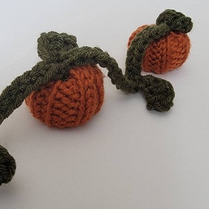 May include: Two knitted pumpkins with green stems, connected by a vine. The pumpkins are orange and the vine is green.