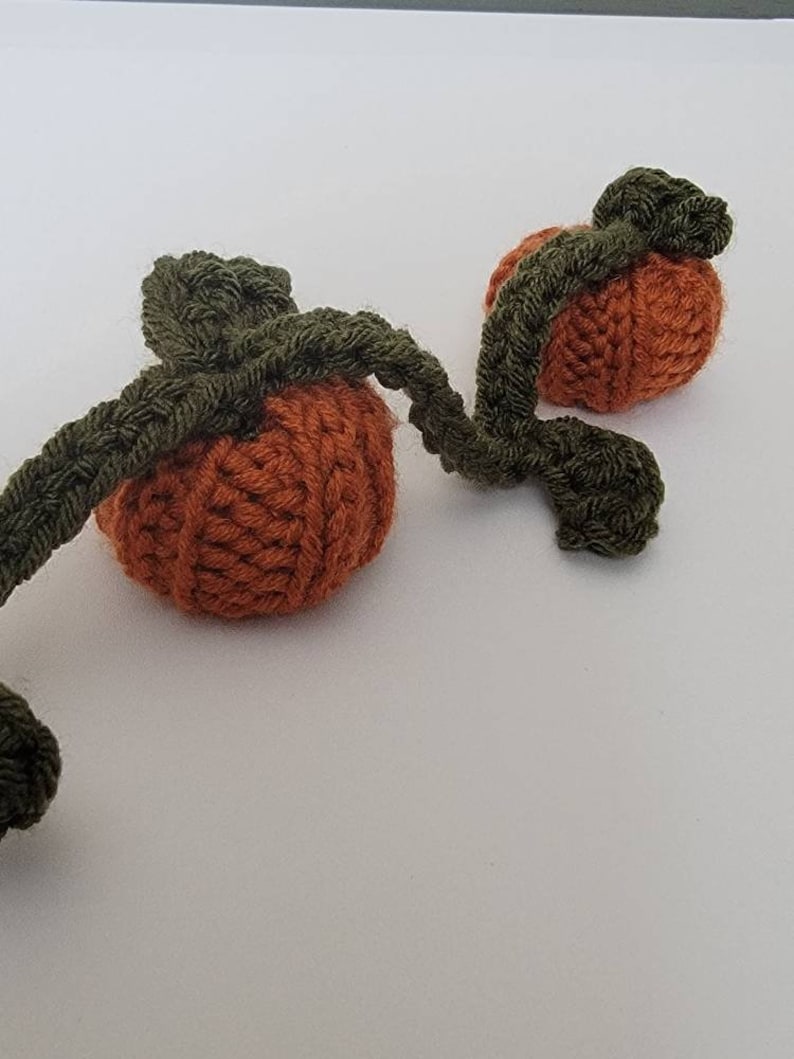 May include: Two knitted pumpkins with green stems, connected by a vine. The pumpkins are orange and the vine is green.
