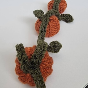 May include: A crocheted pumpkin vine with three orange pumpkins and green leaves.